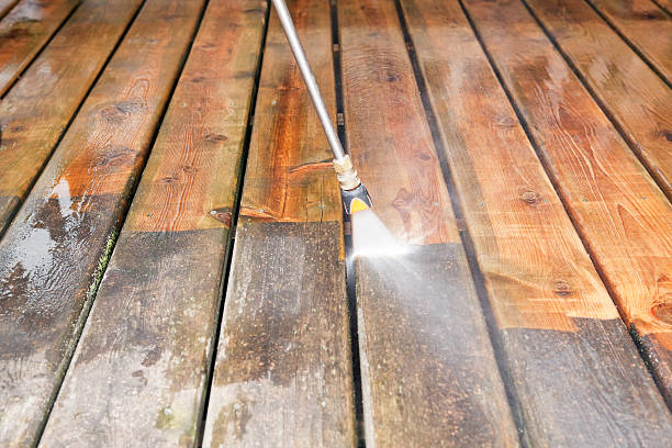 Best Sidewalk and Walkway Cleaning  in Medulla, FL